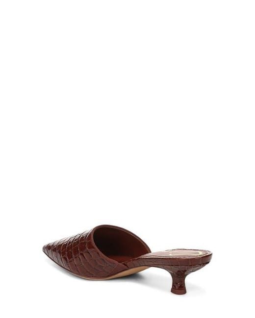 Circus by Sam Edelman Brown Gemma Mule