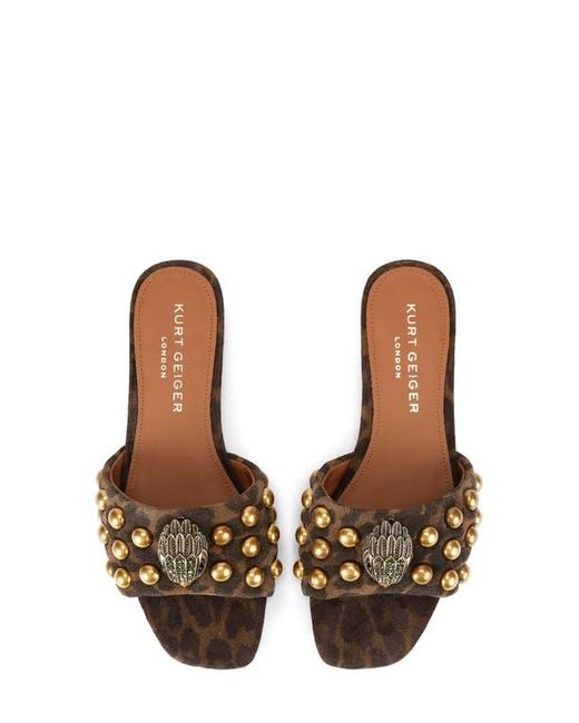 Kurt Geiger Brown Kensington Stud Slide Sandal