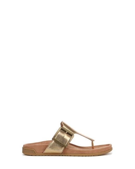 Vionic Brown Emma Flip Flop