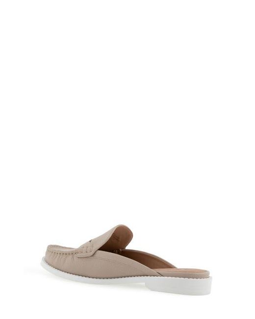 Aerosoles Multicolor Salome Slip-On Mule