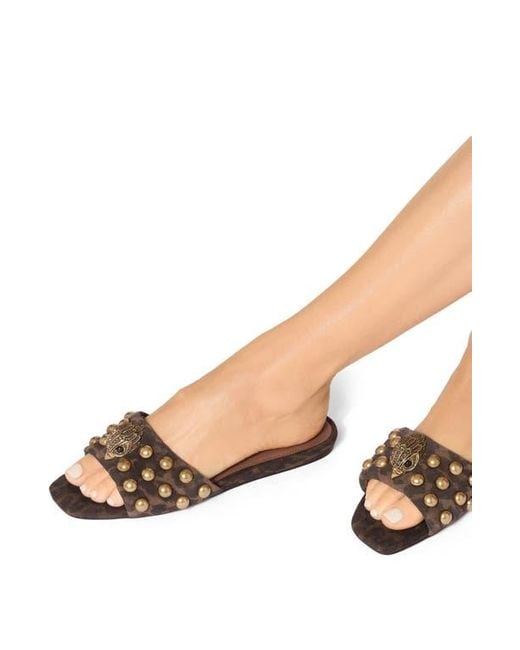 Kurt Geiger Brown Kensington Stud Slide Sandal