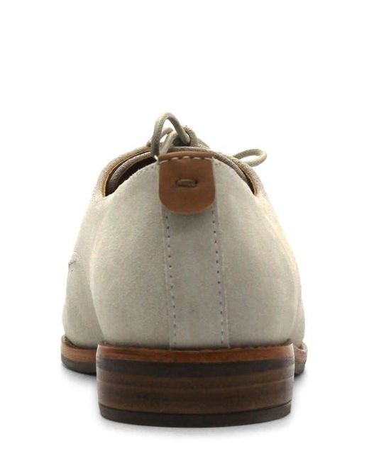 Gentle Souls Multicolor Aronson Derby