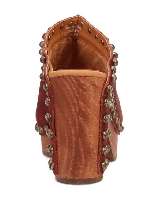 Dingo Brown Echo Clog