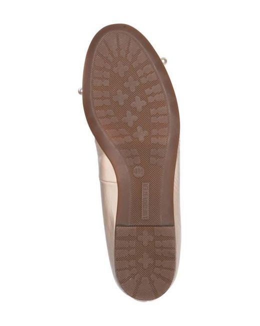 Ara Natural Scout Flat