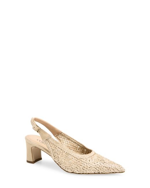 Cordani Natural Nikole Slingback Pointed Toe Pump
