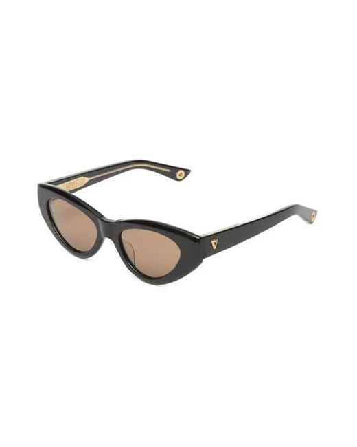 VADA Brown Catfish Sunglasses