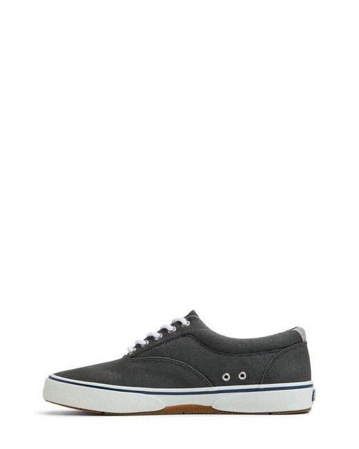 Sperry Top-Sider Black Halyard Cvo Sneaker for men