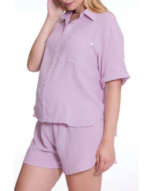 Cache Coeur Women's Purple Ice Cream Organic Cotton Gauze - Main Image