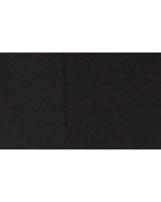Alex Evenings Black Embellished Neck A-Line Gown