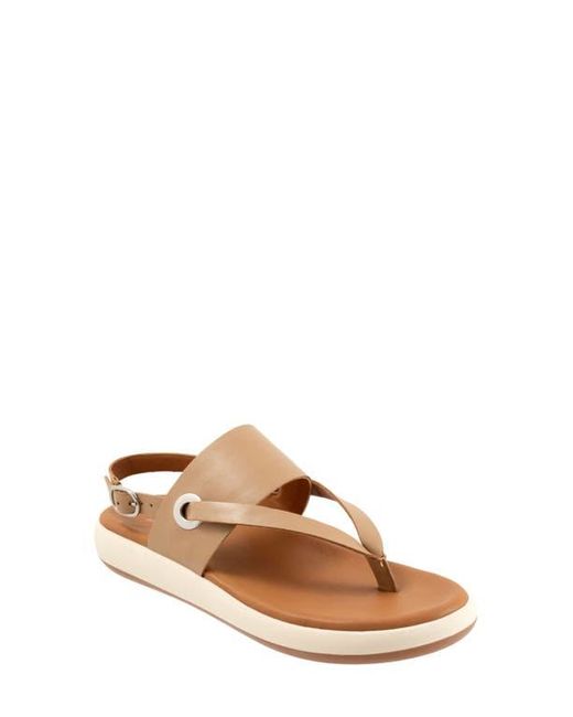 Softwalk® Brown Joliet Slingback Sandal