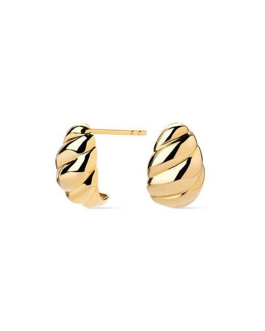 Ana Luisa Metallic Solid