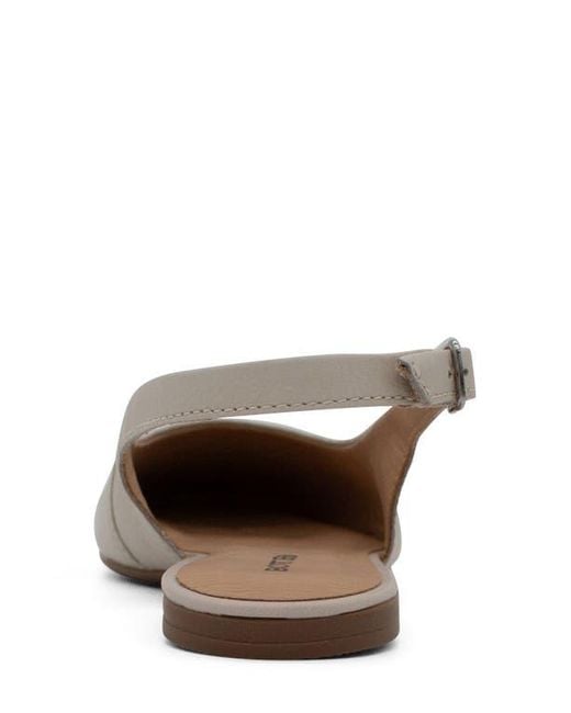 BOTTER Multicolor Botsamya Xxiv Slingback Flat