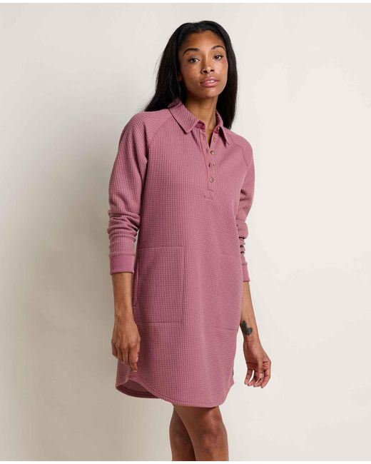 Toad & Co. Pink Bitterroot Long Sleeve Dress
