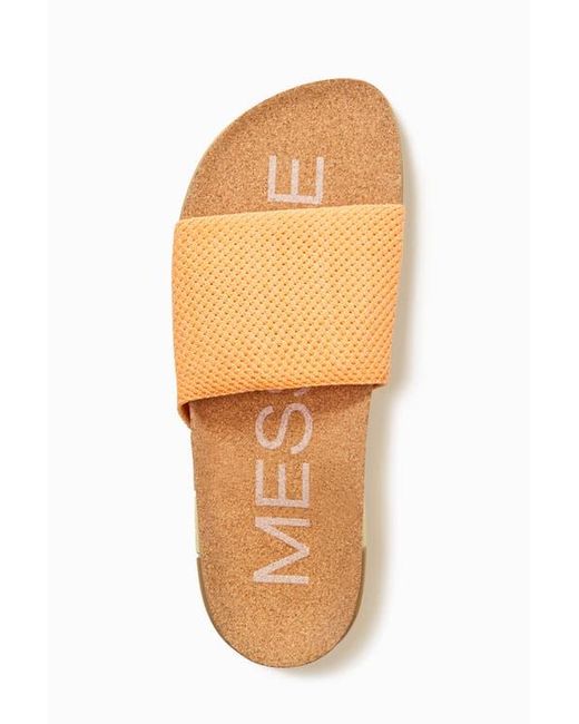 Message Multicolor Mullen Slide