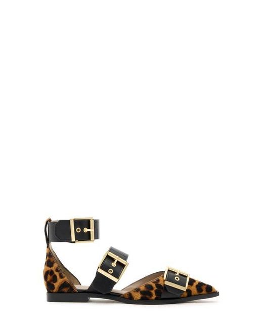 AllSaints Multicolor Sutton Ankle Strap Pointed Toe Flat