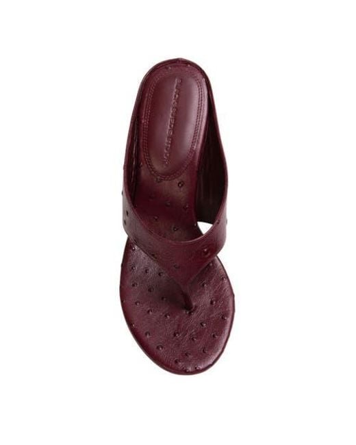 Black Suede Studio Purple Mac 70 Wedge