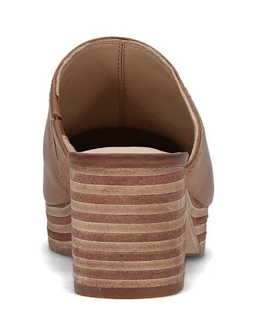 Frye Brown Campus Leather Clog