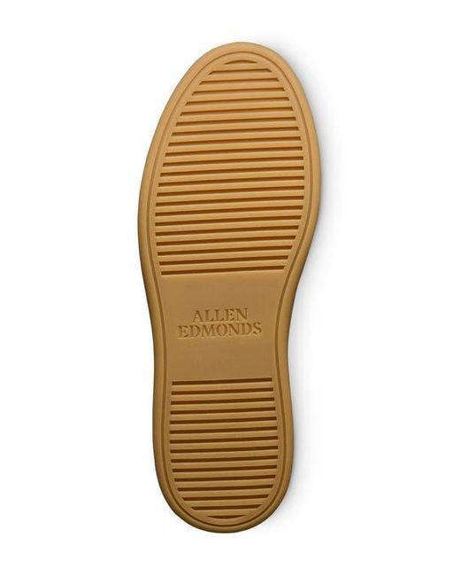 Allen Edmonds Brown Ludlow Slip-On Sneaker for men