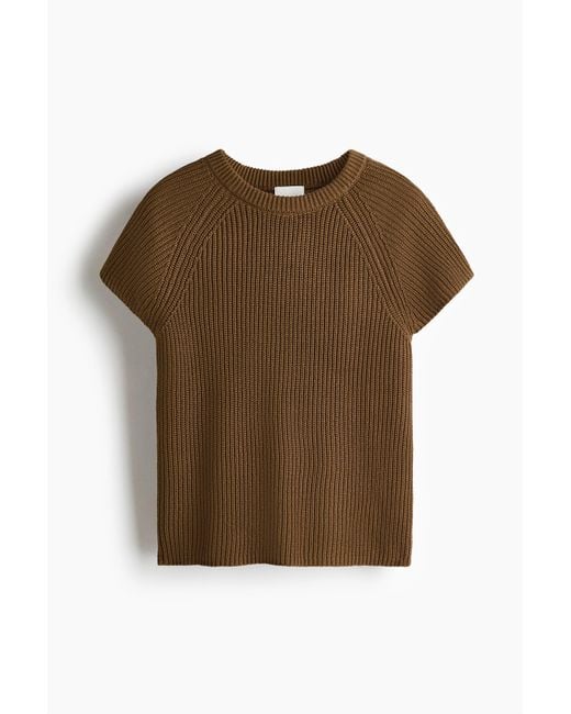 H&M Brown Knitted Top