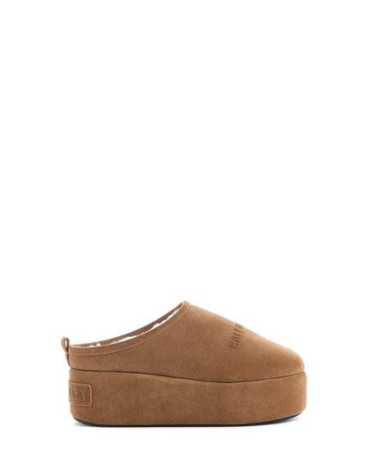 Balenciaga Brown Alaska Slide Platform Clog