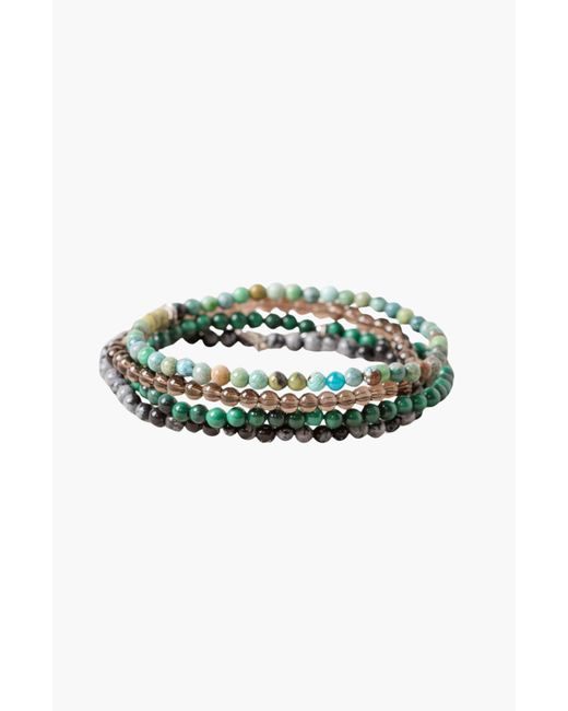 Tiny Rituals Green Scorpio Bracelet Set