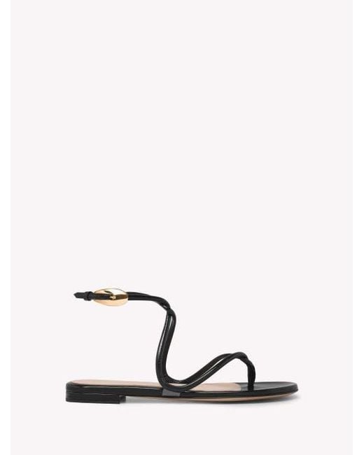 Gianvito Rossi Natural Jungle Mamba Flat
