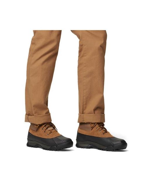 Sorel Brown Buxton Lite Waterproof Boot for men