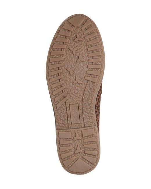 Earth Brown Javas Penny Loafer