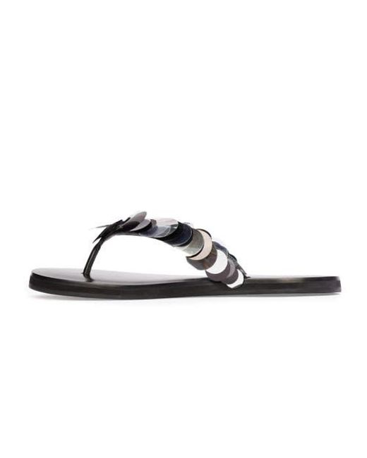Black Suede Studio Blue Glw Flop