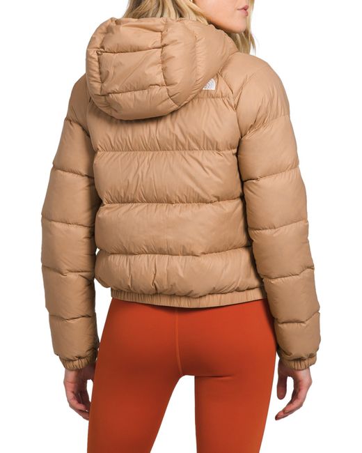 The North Face Hydrenalite Hooded Down Jacket in Orange Lyst