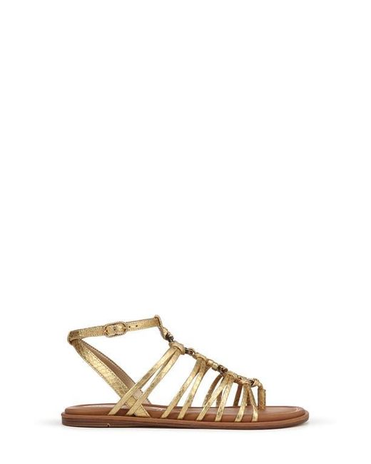 Sam Edelman Brown Raye Gladiator Sandal