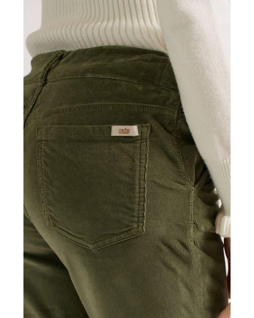 Cache Coeur Green William Maternity Pants