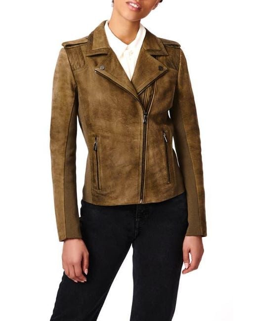 Bernardo Brown Suede Moto Jacket