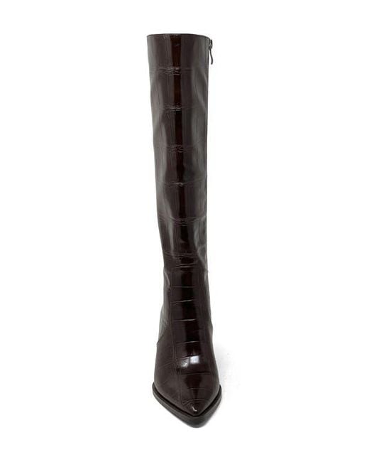 Shu Shop Brown Vanessa Pointed Toe Knee High Kitten Boot