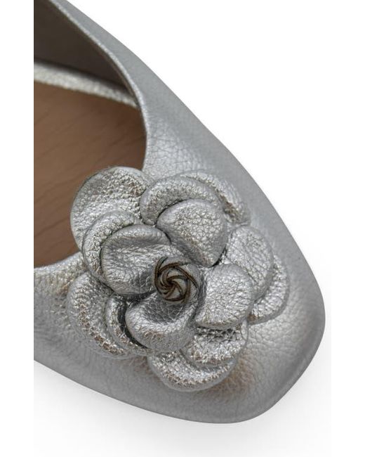 BOTTER Gray Botsamya Ballet Flat
