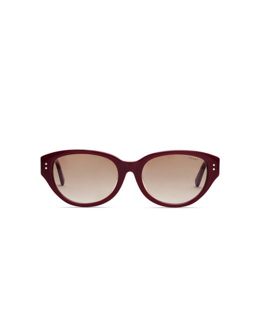 COVRY Brown Nova Sunglasses