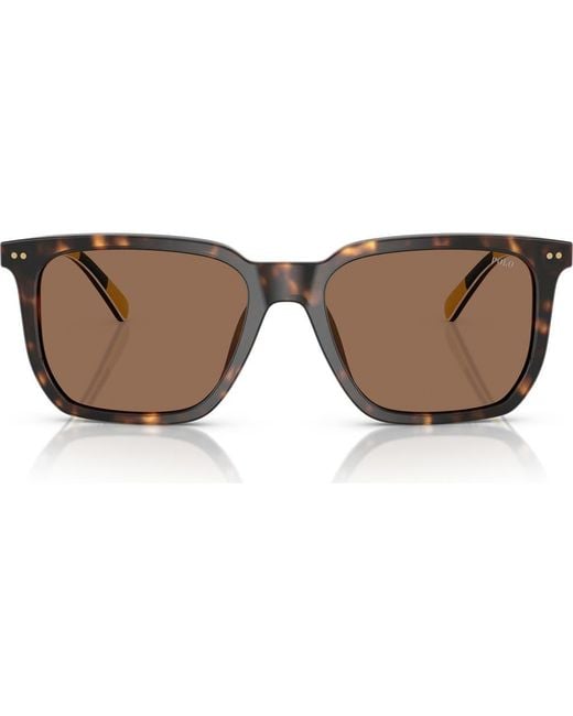 Polo Ralph Lauren Brown 55Mm Rectangular Sunglasses for men
