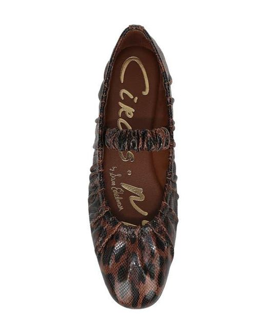 Circus by Sam Edelman Brown Blythe Flat