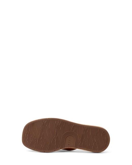 Reef Brown Sunset Low Maya Flip Flop