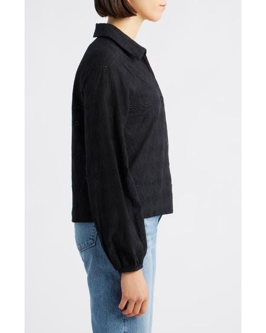 Bobeau Black Embroidered Eyelet Cotton Button-Up Shirt