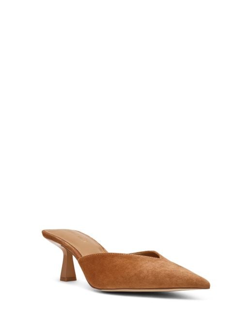 Steve Madden Brown Mod Pointed Toe Mule Pump