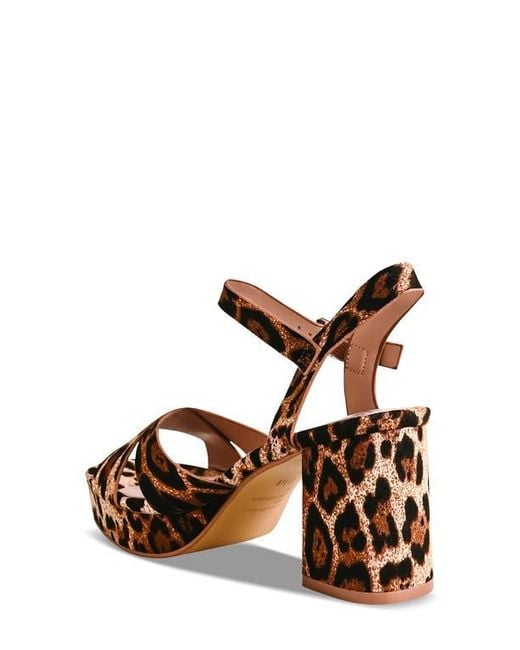 Touch Ups Brown Toby Ankle Strap Platform Sandal