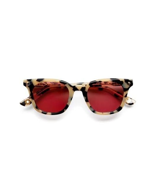 VADA Brown Trance Sunglasses