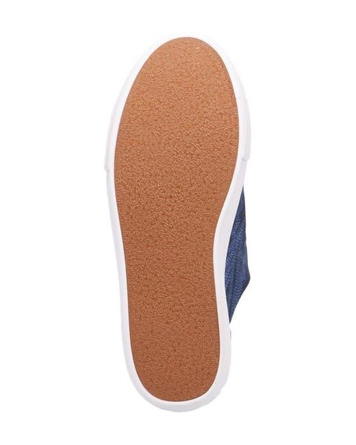 Dingo Blue Campus Sneaker