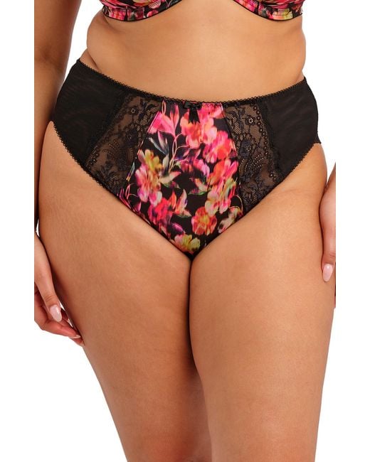 Elomi Pink Morgan Briefs