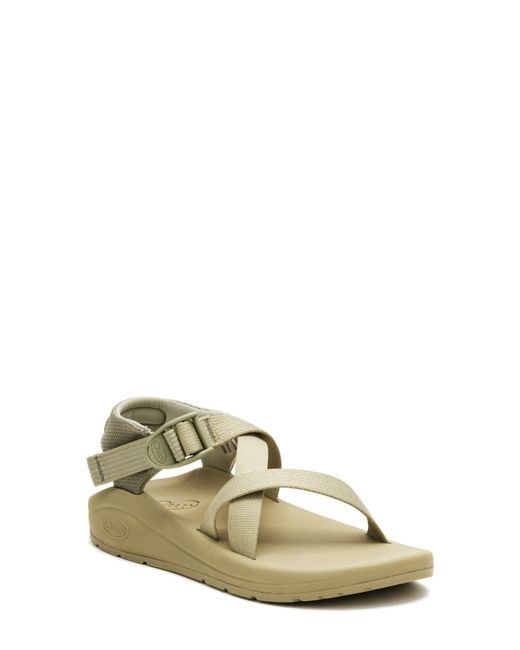 Chaco Metallic Cushz Sandal