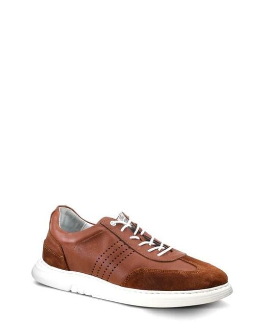 Spring Step Brown Trenton Sneaker for men