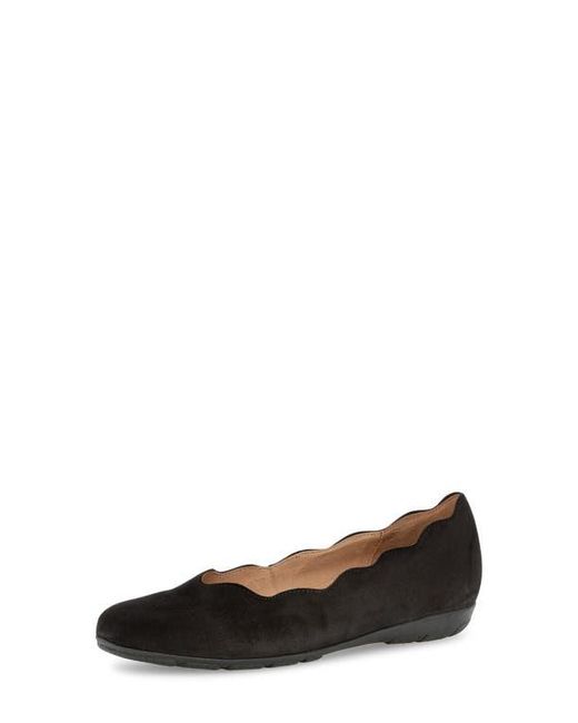 Gabor Black Scallop Suede Flat