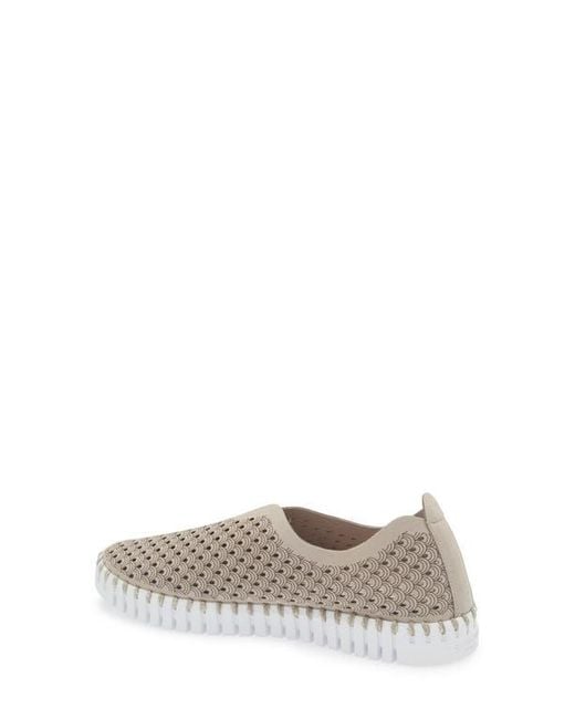 Ilse Jacobsen Gray Tulip Perforated Slip-On Sneaker