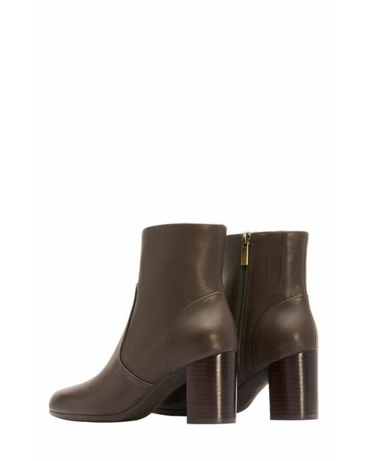 ABEO Brown Tempo Ankle Boot